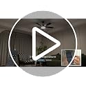 52 Inch Ceiling Fan with RGB Lights - Modern Black Indoor Outdoor Fan with Remote & App Control