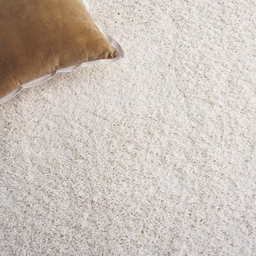 4' x 6' Ivory Shag Area Rug - California Collection, Non-Shedding, Plush Thick Pile