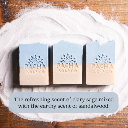 Sand & Sea Exfoliating Bar Soap - Sea Salt, Volcanic Ash & Essential Oils, 5-Pack