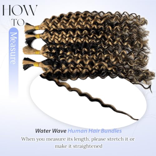 Boho Human Braiding Hair Curly 16 Inch 100G - Black & Honey Blonde