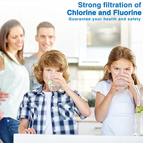 DTESL 4 Black & 4 Fluoride Water Filter Replacement Set for Ber-key BB9-2 & PF-2 Systems