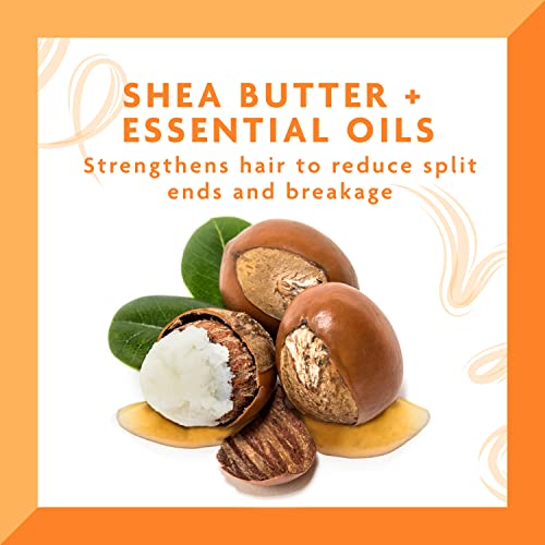 Cantu Daily Oil Moisturizer with Shea Butter, 13 fl oz