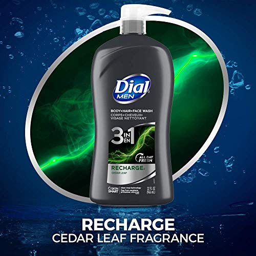 Dial Men 3-in-1 Body Hair & Face Wash Pack of 2, 32 Fl Oz, Cedar Leaf Scent
