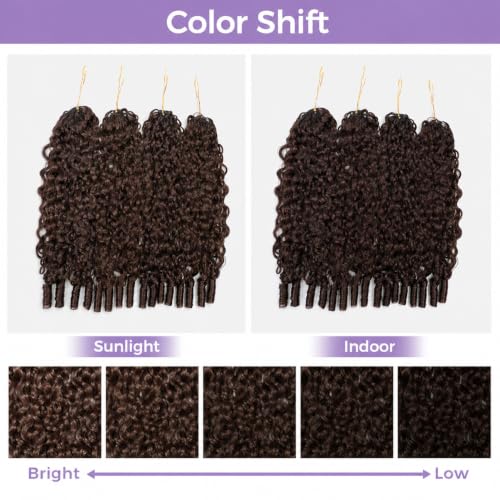 #4 Burmese Curly Feather Crochet Human Hair Extensions - 22 Inch, 50g, Pre-Looped, Knotless, Reusable, Natural Texture