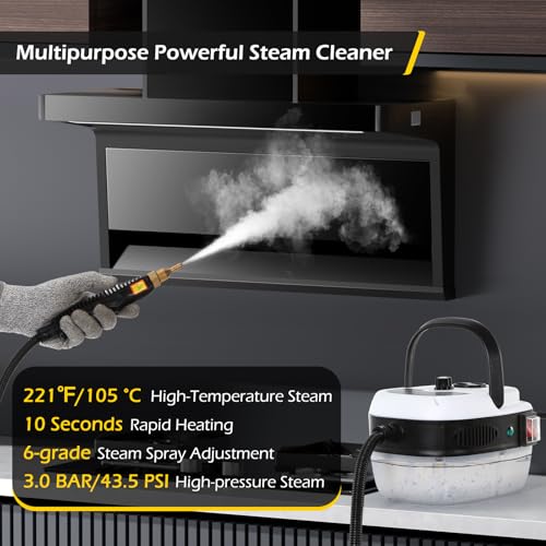 2500W Handheld Steam Cleaner for Auto Detailing & Multi-Surface Cleaning