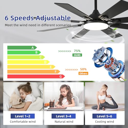 Fanyamei 52-Inch Black Ceiling Fan with Lights & Remote, Modern Farmhouse Reversible Blades