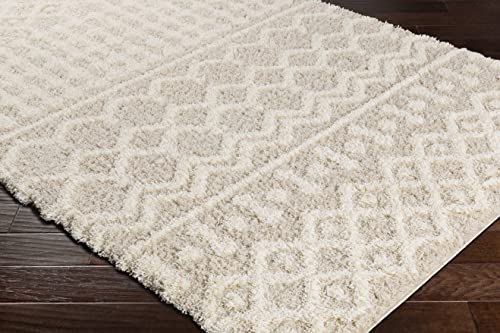 Livabliss Moroccan Shag Area Rug 5'3" x 7'3" Beige Modern Home Decor