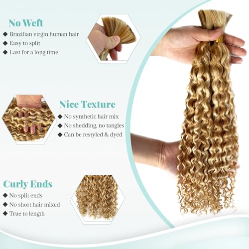 Water Wave Human Hair Extensions 18 Inch Ombre Strawberry Blonde with Highlights - No Weft, 2 Bundles