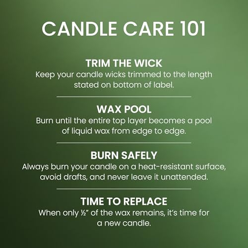 Yankee Candle Balsam & Cedar Scented Candle Pack of 4 - 22oz Large Jar, Up to 150 Hours Burn Time - Giftable