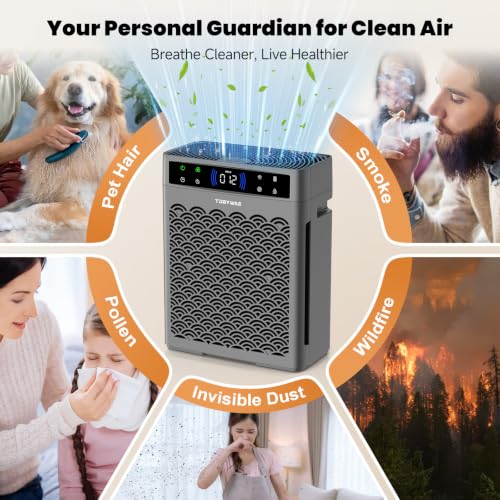 TDBYWAE Large Room Air Purifier with HEPA Filter & Fragrance - Grey