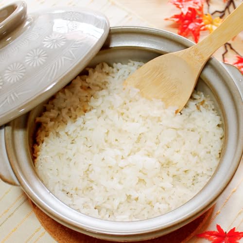 TIKUSAN Donabe Japanese Hot Pot 2.3 Quarts Banko Ware Made in Japan