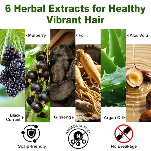 Limer Hair Dye Shampoo, Dark Brown 6-in-1 Natural Herbal Hair Color Shampoo, Semi-Permanent Gray Coverage with Pleasant Scent, Ammonia-Free Formula for Women & Men (460ml/15.55fl oz)