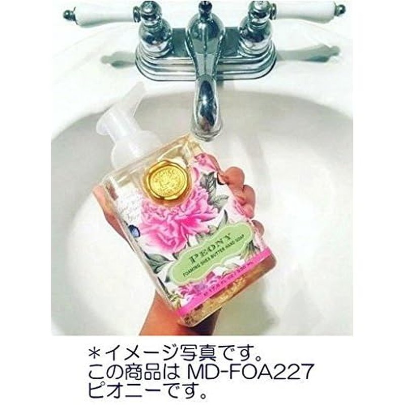 Michel Design Works Foaming Hand Soap, Oatmeal & Honey