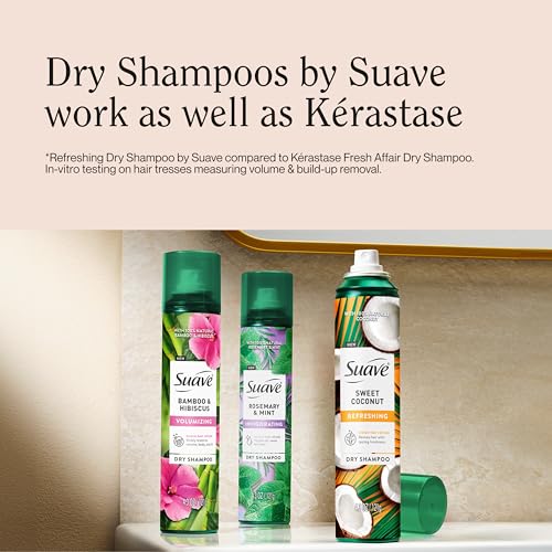 Dry Shampoo for Oily Hair with Rosemary & Mint - Cruelty-Free, 12 oz