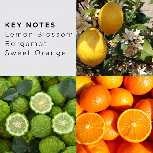 Women’s Citrus & Floral Perfume with Marshmallow, Vanilla, Musk, and Vetiver - 0.5 oz Travel Size