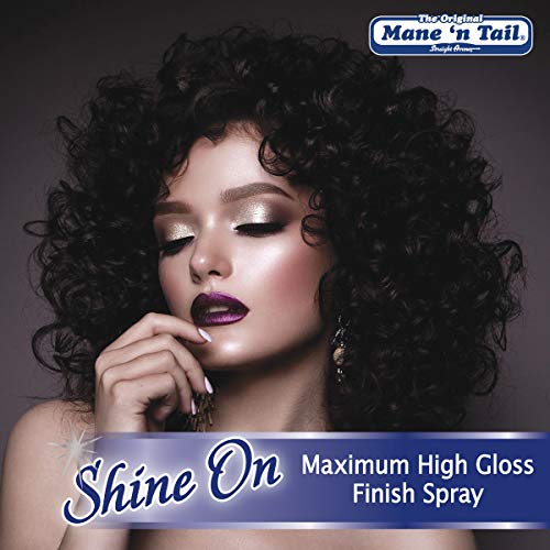 Hair Shine Spray - High Gloss, Detangler & Frizz Control for All Hair Types 4oz