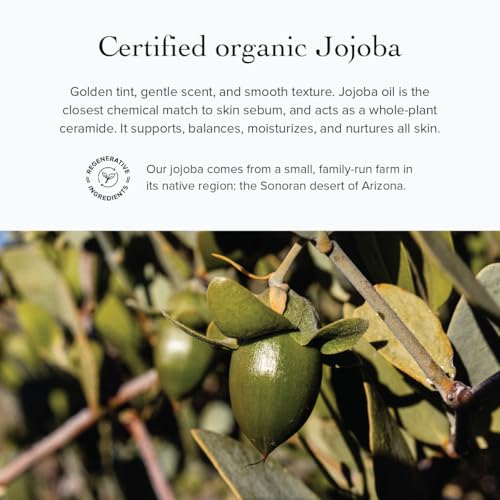 Nettle Olive Leaf Cleansing Oil - Organic Gentle Face Oil for Sensitive Skin