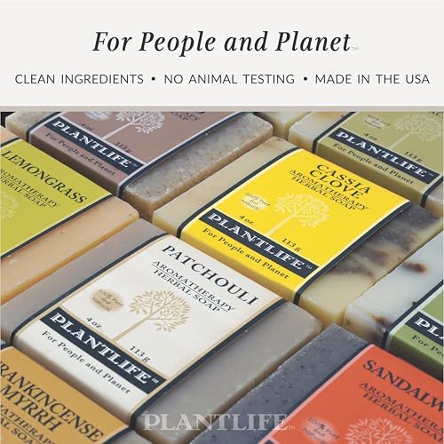 Ambrosia Natural Vegan Bar Soap 6-Pack - Handcrafted 4 oz