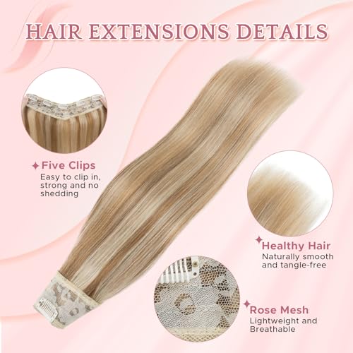 12 Inch Clip-In Hair Extensions #12P613 Golden Brown Blonde Mixed - V-Shaped Weft