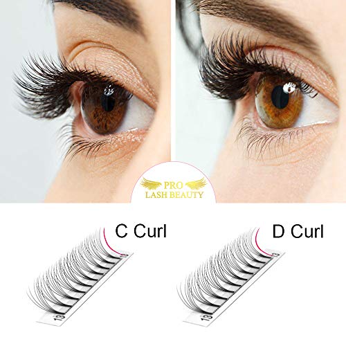 Premade Fans Eyelash Extensions 6D-D-0.10-11 Short Stem Premade Volume Eyelash Extensions .07 .10 C D Curl Pre made Lash Fans 9 to 20 mm Volume Lash Extensions (6D-D-0.10,11mm)