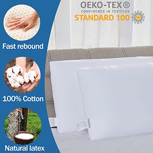 Fomwris Queen Latex Pillow - Medium Loft, Removable Cotton Cover, Breathable, Pressure Relief, Natural Support