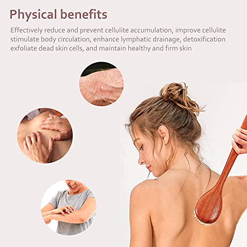 Dry Body Brush with Long Wooden Handle for Exfoliation & Back Scrubbing - Natural Boar Bristles