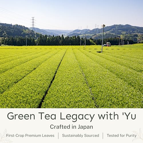 Decaf Matcha Powder Organic Japanese Green Tea 50 Servings - Resealable Pouch