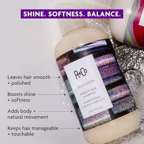 R+Co Television Perfect Hair Shampoo 8.5 Fl Oz - Dark Waves Scent, Hydrating & Vegan
