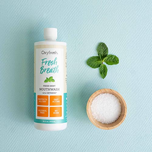 Oxyfresh Premium Fresh Mint Mouthwash 16 Fl Oz Pack of 3 - Alcohol-Free, Light Flavor, Zero Burn