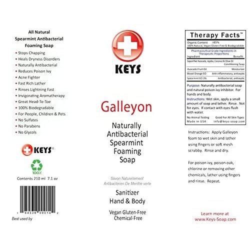 Keys Galleyon All Natural Antibacterial Foaming Spearmint Castile Soap Sanitizer for Hand and Body, 100% Biodegradable Rich Conditioning Oils for People, Children, Pets, Vegan, Gluten Free, 7.9 ounces