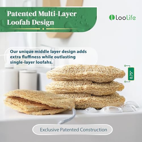 4 Pack Oval Natural Loofah Sponges - Exfoliating Body Scrubber for Shower