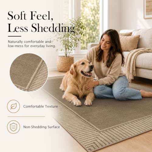 Moynesa 5x7 Indoor Outdoor Jute-Inspired Rug with Brown Striped Border, Low Pile Area Rug