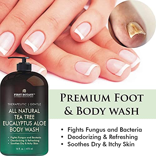 All Natural Tea Tree Body Wash for Skin & Foot Odor Relief - 16 Fl Oz