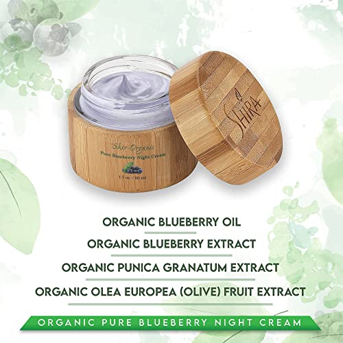 Blueberry Night Cream - Organic Hydrating Anti-Aging Moisturizer 50ml
