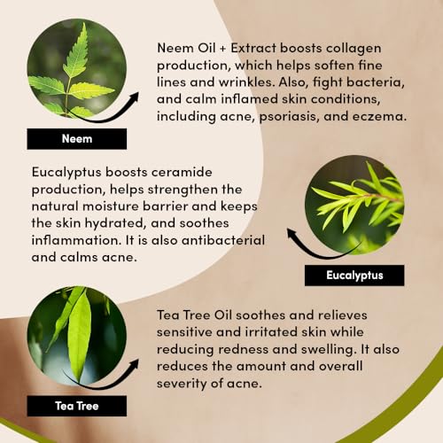 Neem & Tea Tree Face Wash Pack of 2 - Organic Acne & Oily Skin Cleanser for Men & Women