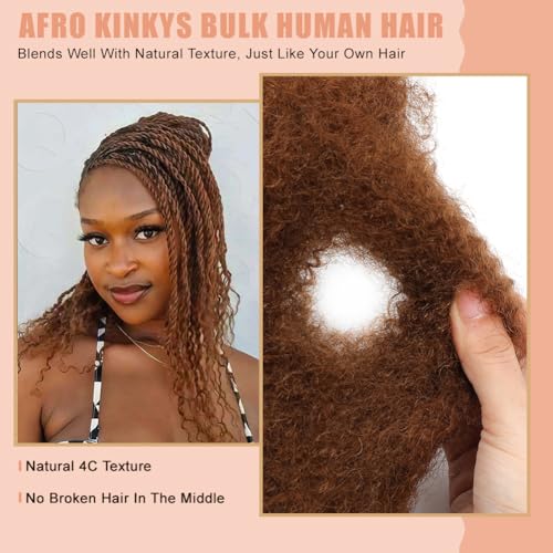 Afro Kinky Curly Human Hair Extensions - 14 Inch 50 Gram Variation #30