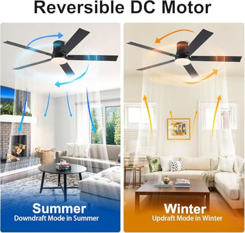 Rayqueen 60 Inch Flush Mount Ceiling Fan with Lights & Remote - Black / 60 Inch