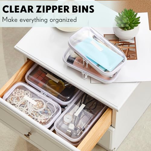 Sanwuta 10 Pack Small Clear Hard Zipper Cases with Labels, S / Set of 10