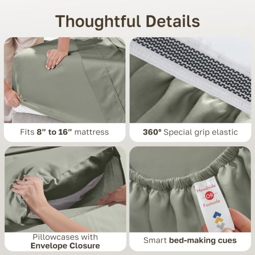 Sage Leaf 100% Egyptian Cotton Queen Bed Sheets Set - Percale, OEKO-TEX Certified