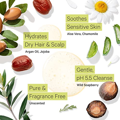 Tree To Tub Unscented Hydrating Shampoo for Sensitive Scalp - 8.5 Fl Oz Pack of 2