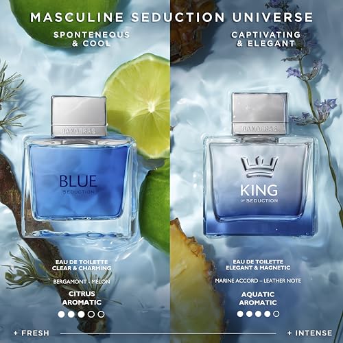 Men's Blue Seduction Eau de Toilette Spray 3.4 Fl Oz - Banderas