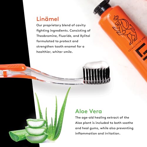 Linhart Smile Care Set - Toothpaste 3.4 oz & Daily Care Gel 1.7 oz - Gel & Paste Variations