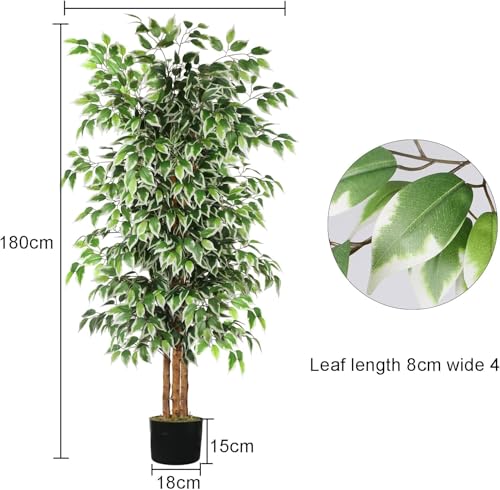 6 FT Artificial Ficus Tree with Real Wood Trunks - 2 Pack Indoor Decor Variation of This Listing