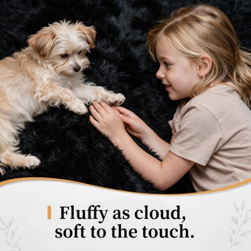 Black 9x12 Area Rug - Fluffy Shag Washable Plush Indoor Carpet for Living Room & Bedroom - Variation of THIS listing