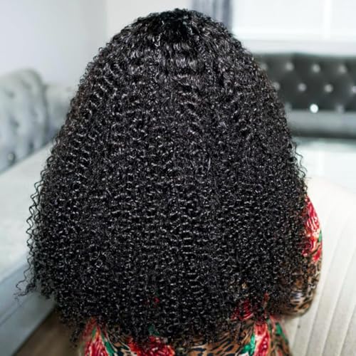 16 Inch Human Hair Lace Front Wigs Afro Kinky Curly 13x6 HD Glueless Wig - Natural Look