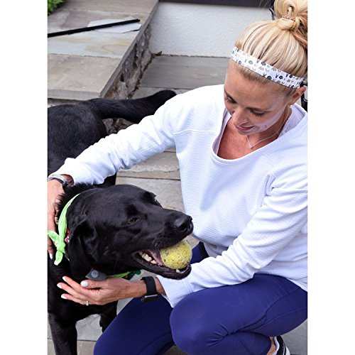 No Slip Headband 2 Pack for Dogs & Active Wear - Black & Wicked