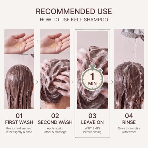 Korean Kelp Shampoo for Sensitive & Itchy Scalp - Sulfate-Free Hydrating Hair Cleanser