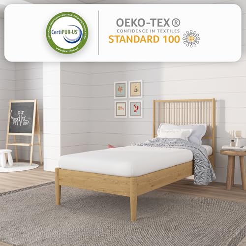 NapQueen 5 Inch Twin Memory Foam Mattress - Medium Feel, CertiPUR-US, Bed in a Box, Breathable Cover, White