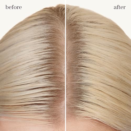Pureology Style + Protect Refresh & Go Dry Shampoo For Oily and Color-Treated Hair - Volumizes and Protects from Heat Dry Shampoo, Silicone-Free & Vegan