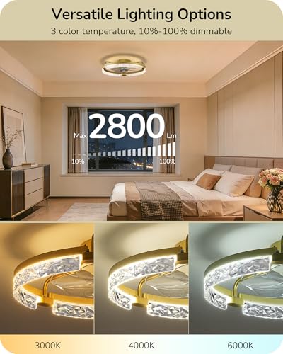 EDISHINE Gold 20'' Low Profile Ceiling Fan with Lights, Remote & App Control